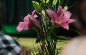 DSC01181
